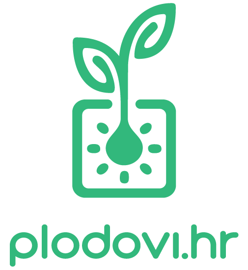 Plodovi